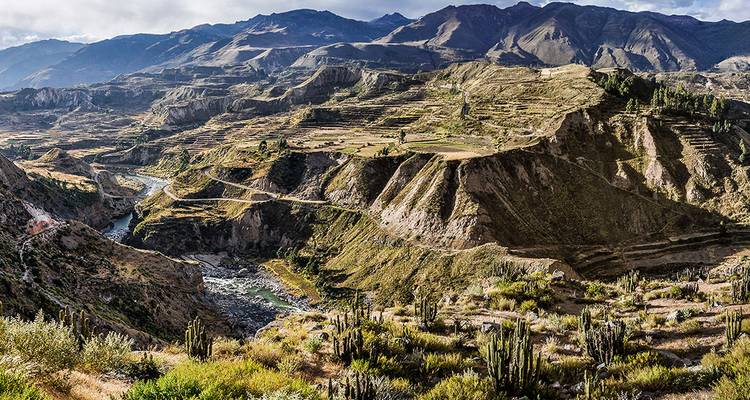 Majestic view over the terraced Colca Canyon with a river cutting through the valley.