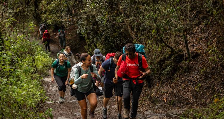 Group of trekkers ascend a muddy forest trail carrying backpacks and trekking poles.