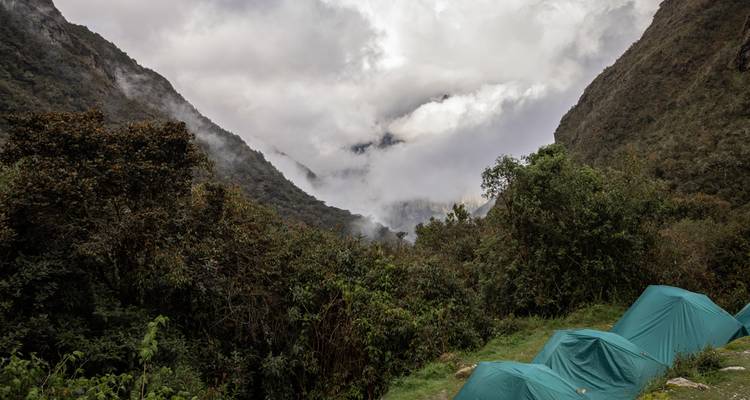 Trois tentes vertes dressées sur un versant de vallée brumeux le long du sentier de l'Inca.