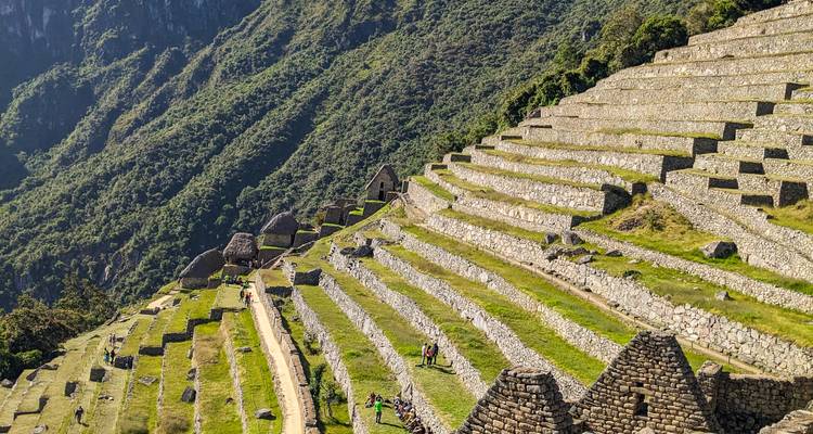 Weitwinkelaufnahme der berühmten landwirtschaftlichen Terrassen von Machu Picchu, die in Kaskaden einen grünen Berghang hinabfallen.