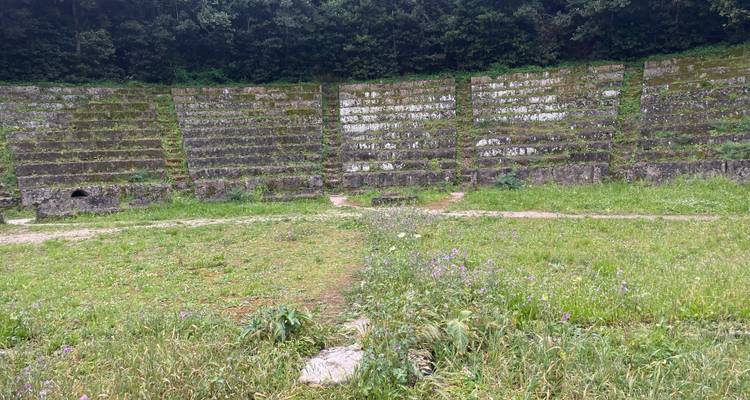 Front view of a grassy, abandoned stone amphitheater surrounded by forest