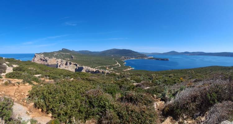 Panoramic headland and winding coastal road overlooking deep blue Mediterranean waters.