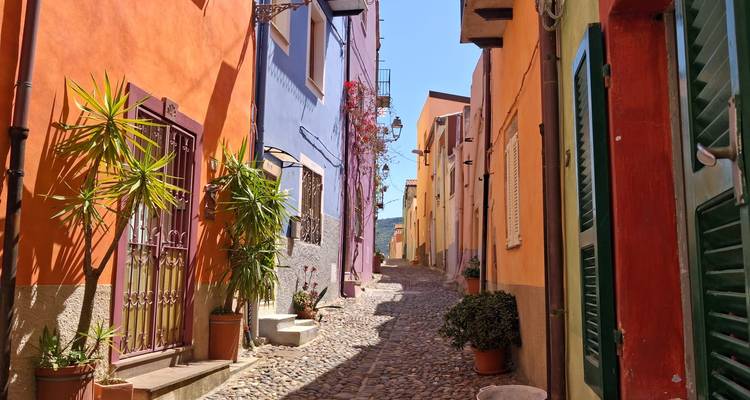 Charming narrow alley of brightly painted houses and cobblestone path lined with potted plants.