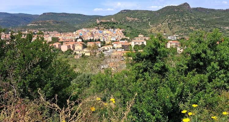 Distant view of colorful hill town nestled among green hills and wildflowers.