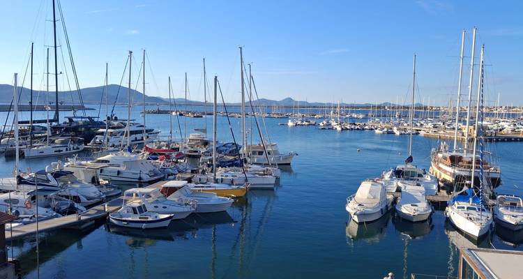 Marina packed with sailboats and yachts under a clear blue morning sky.