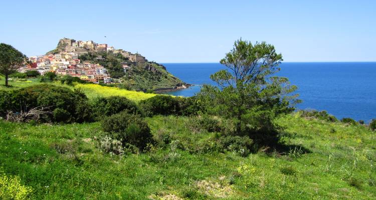 Grüne Hügelhänge und Wildblumen rahmen die in der Ferne gelegene Stadt Castelsardo ein, die hoch über dem Meer thront.