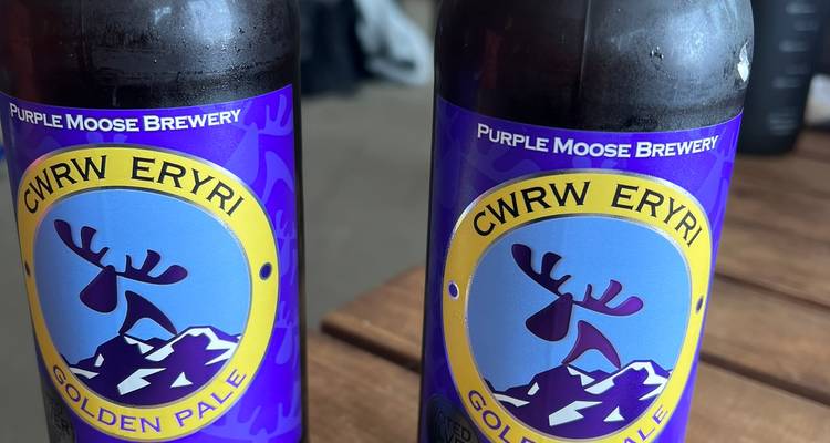 Two bottles of locally brewed Purple Moose Golden Pale ale on a wooden table.