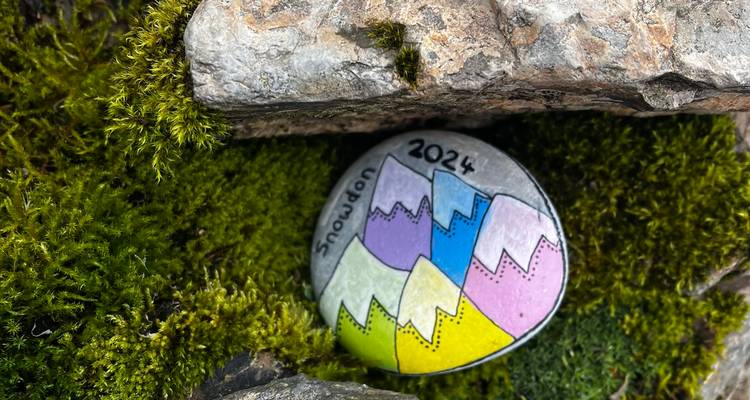 Hand-painted rock reading “Snowdon 2024” resting on green moss between stones.