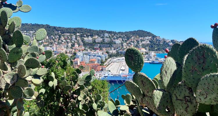 View of Nice harbour and hillside framed by prickly pear cactus pads in the foreground.
