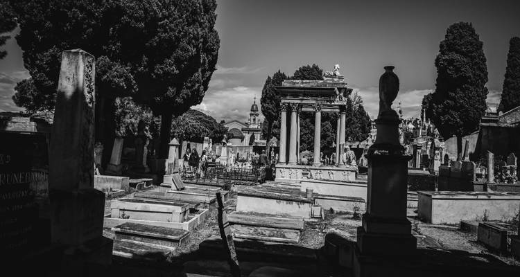 Moody black-and-white image of historic cemetery with tombs, stone columns and tall cypress trees.