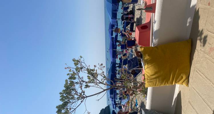 Vue depuis un café en bord de plage vers une mer de parasols bleus et de transats le long du rivage.