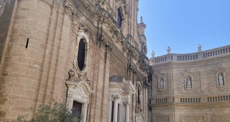 Detaillierte Steinfassade und Statuen einer prächtigen Kathedrale, beleuchtet durch helles Tageslicht.