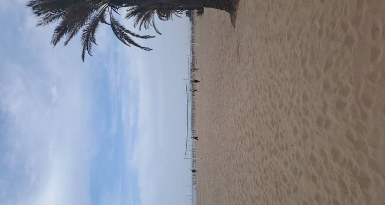 Plage de sable blanc étendue avec un palmier isolé et des terrains de volleyball au loin.