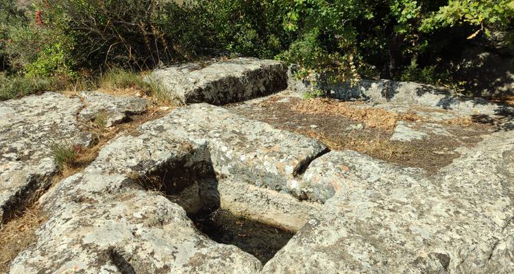 Archaeological stone slabs with carved rectangular basins surrounded by bushes.
