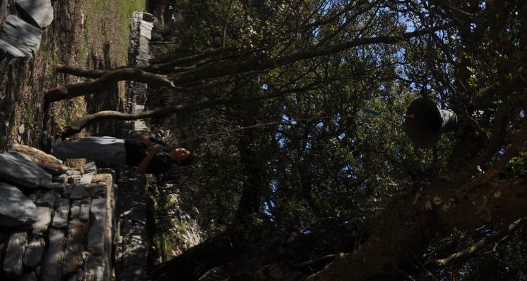 Dimly lit scene of a person pulling a bell rope beneath dense tree cover and stone seating.