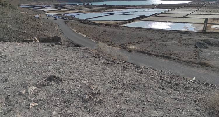 Vue panoramique sur les salines géométriques en bordure du littoral avec des collines arides alentour.