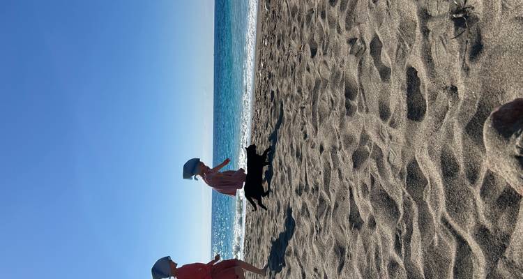 Two children and a black cat running across a sandy beach toward the sea