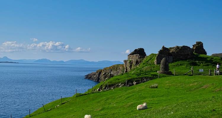 Grassy headland with stone ruins, grazing sheep and a bright blue sea under clear skies.