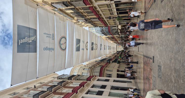 Bustling pedestrian shopping street with sunshades overhead and historic buildings