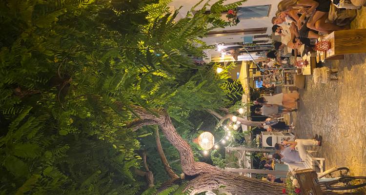 Soirée atmosphérique dans une rue avec des clients en terrasse sous des arbres feuillus et des lumières chaleureuses.