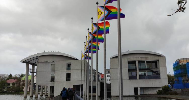 Row of rainbow and progress pride flags fluttering outside Reykjavik City Hall over a reflective lake.