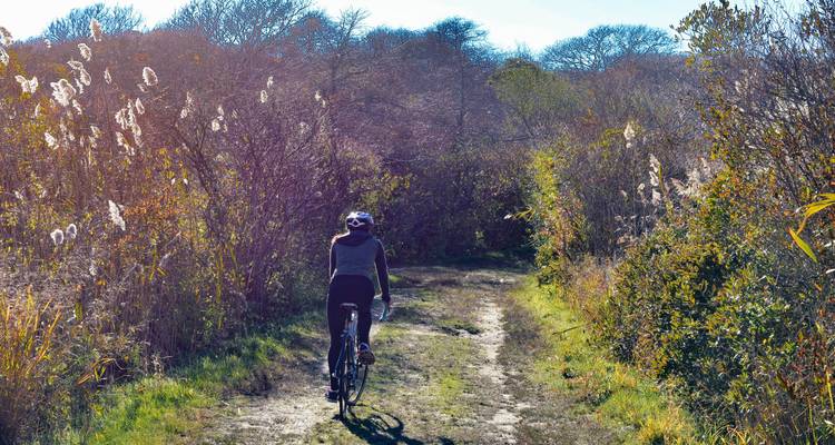 Un cycliste circule sur un sentier étroit en terre bordé de hauts arbustes automnaux et d'un effet de lumière solaire.