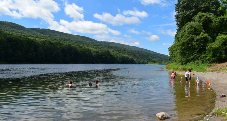Les enfants et les adultes pataugent et nagent en bordure d'un lac de montagne forestier.