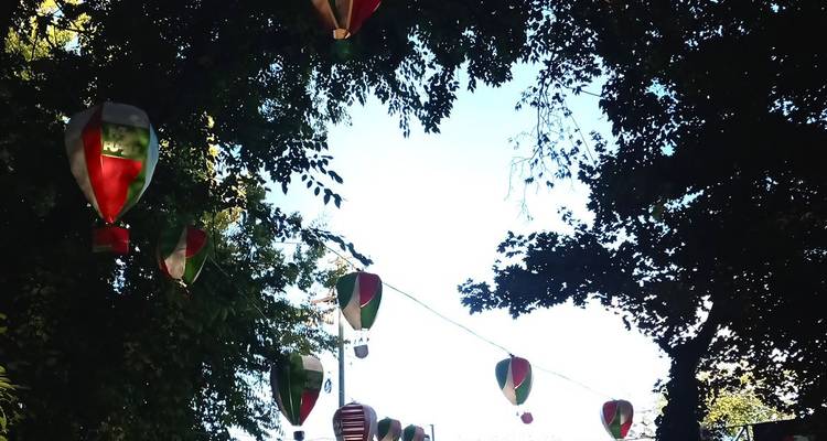 Colorful hot-air-balloon shaped lanterns hanging in a tree-lined park path against a bright sky.