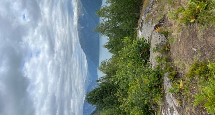 Les buissons au premier plan et les affleurements rocheux surplombent un fjord tranquille sous un ciel nuageux avec des pics lointains.