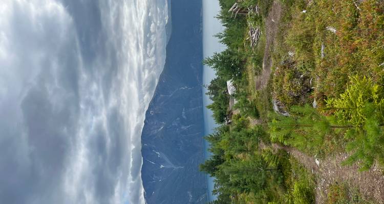 Les jeunes pins et les chemins escarpés mènent vers un fjord dominé par des montagnes d'ardoise gris acier sous des nuages fragmentés.