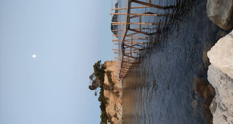 Wooden footbridge leading to a small rocky islet under twilight sky and full moon.