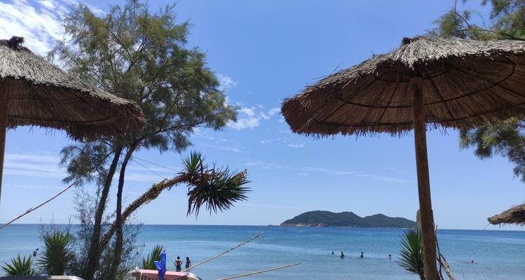 Beach scene framed by straw umbrellas and trees with swimmers in turquoise water.