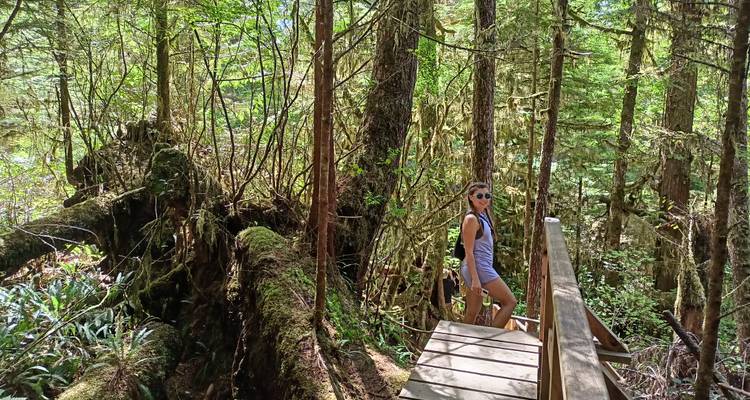 Woman walking on wooden boardwalk through lush mossy forest, turning back with a smile.