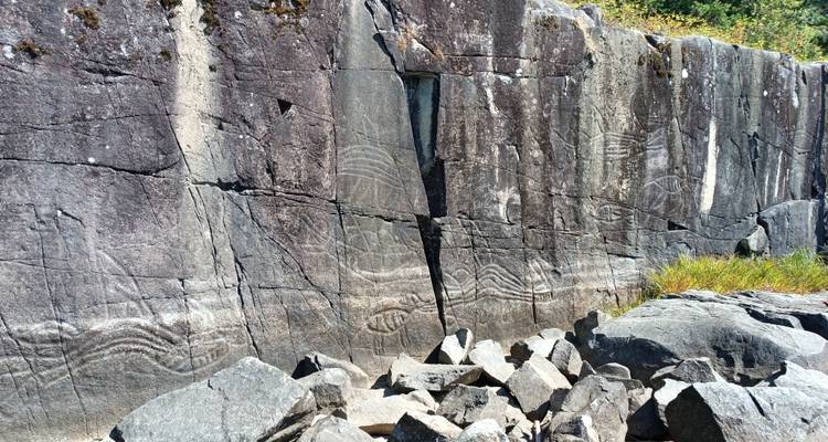 Rock wall covered with ancient petroglyph carvings above a field of scattered boulders.