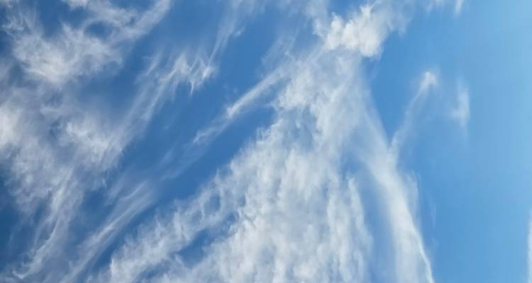 Clear blue sky filled with thin wispy cirrus clouds.