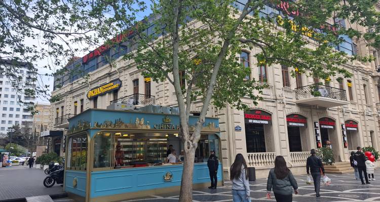 Coin de rue urbain avec un bâtiment élégant de couleur crème, des devantures de magasins et un arbre feuillu au premier plan