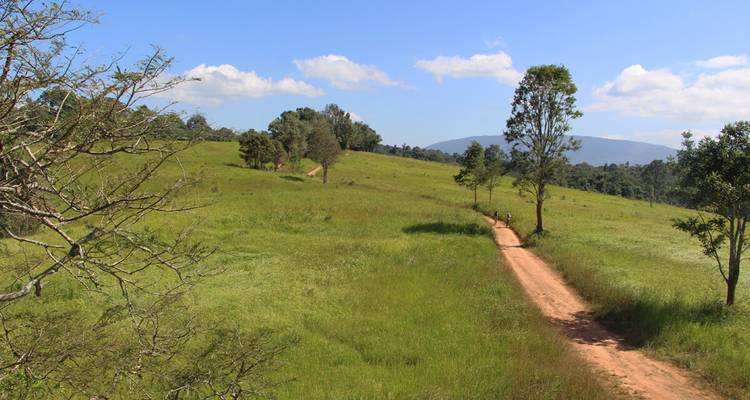 Camino de tierra serpenteando a través de pastizales abiertos hacia colinas lejanas bajo un cielo azul brillante