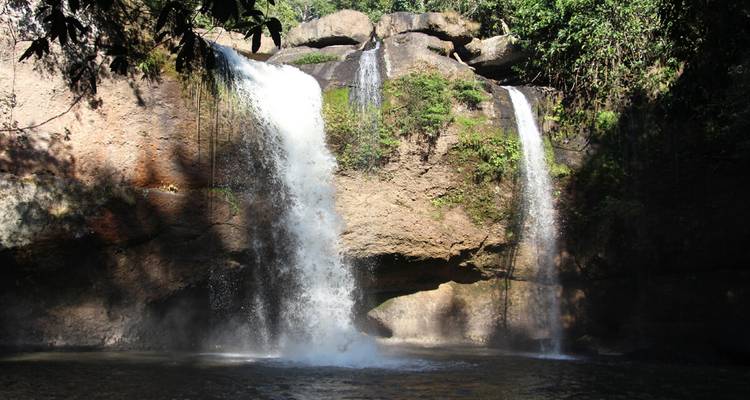 Dos cascadas gemelas cayendo sobre rocas oscuras hacia una piscina sombreada dentro de un bosque exuberante