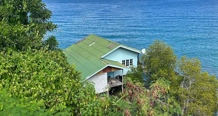 Casa aislada con techo verde encaramada en una ladera exuberante con vistas al mar azul profundo.