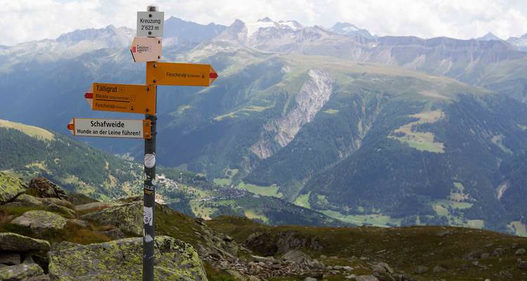 Trail signpost with multiple yellow and orange hiking arrows against sweeping alpine vista