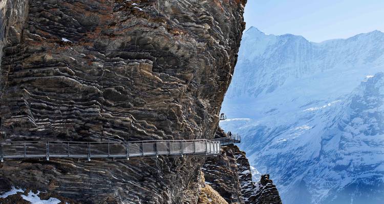 Dizzying metal cliff walk clinging to rugged rock at Grindelwald First with snowy Bernese Alps soaring behind.
