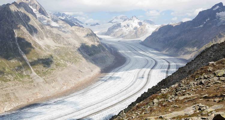 Sweeping view of the mighty Aletsch Glacier winding through steep alpine valleys from a high vantage point.