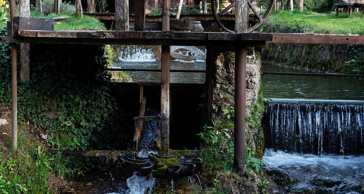 Een traditioneel houten watermolen wiel dat rondjes draait in een helder beekje naast een groen oever.