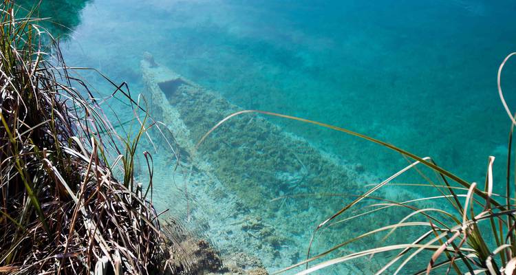 Gezonken houten balk zichtbaar onder kristalhelder turquoise water omzoomd door riet.