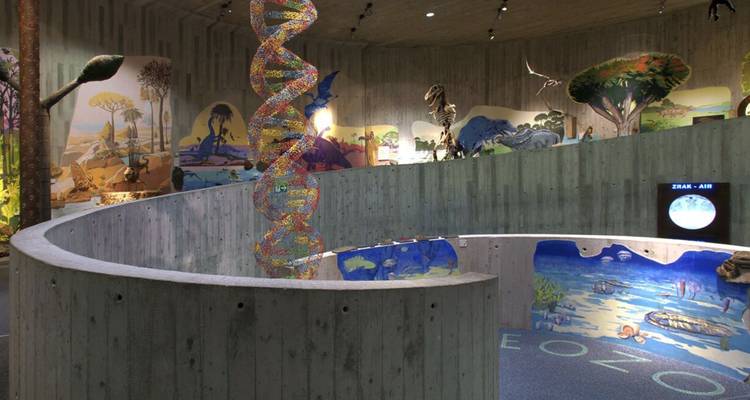 Modern museuminterieur met spiraalvormige oprit en kleurrijke DNA-helixsculptuur tussen prehistorische tentoonstellingen.