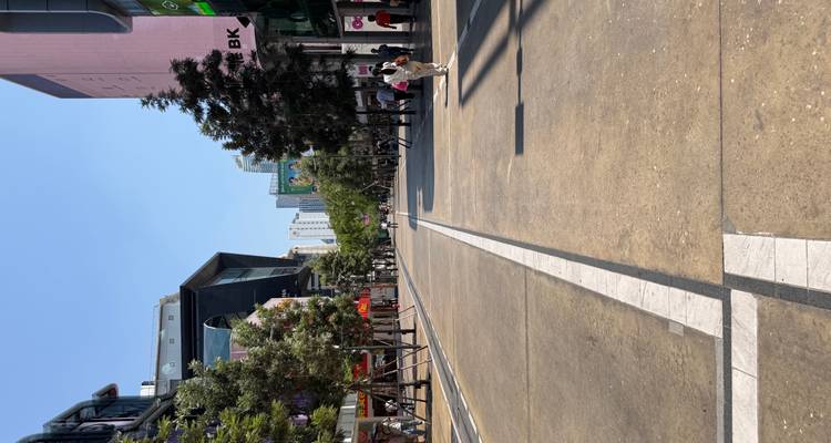 A pedestrian shopping street in a modern city lined with shops and tall buildings on a sunny day.