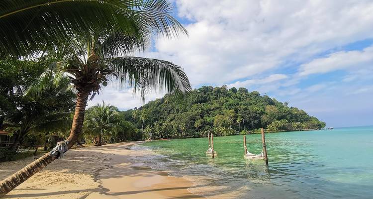 Tropical bay with palm-lined sandy shore and two hammock swings standing in shallow emerald water.
