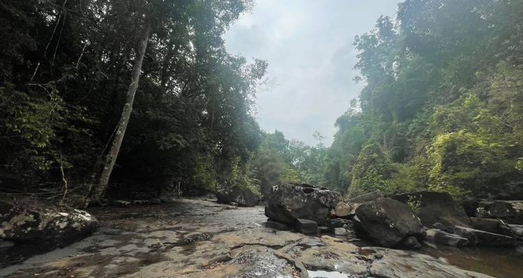 Rocky, shaded jungle ravine with low water flow under cloudy sky.