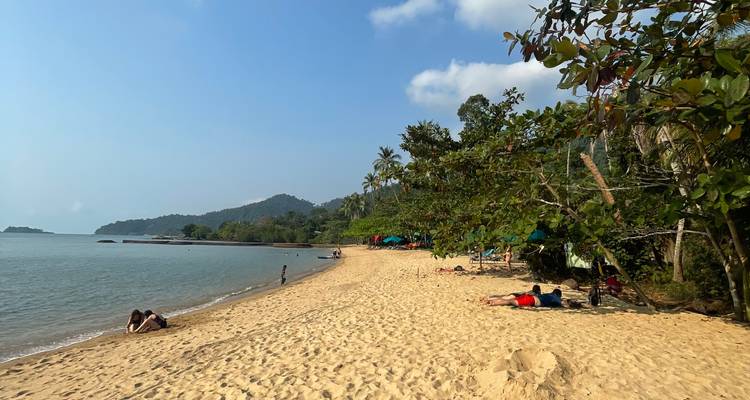 Golden sand beach with scattered sunbathers, calm bay and forested headland under blue sky.