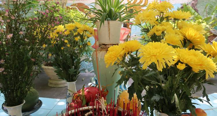 Close-up of bright yellow chrysanthemums, incense sticks and tropical fruit offerings on a temple table.